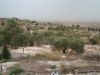 3-zapovednik_neot_kedumim-6.jpg