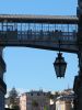 IMG_8050.JPG