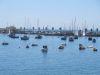 IMG_8299.JPG