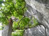 DSCN4762.JPG